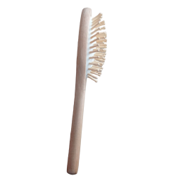 Brosse en bois